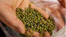Mung Beans