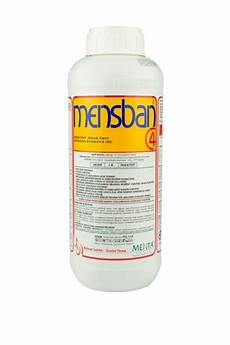 Nematosit