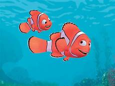 Nemo In Guilet