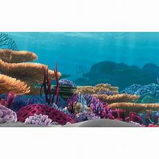 Nemo Spare Parts