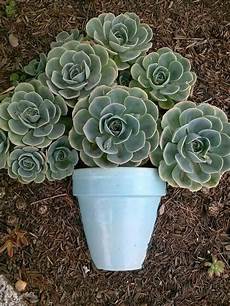 Nursery Pots