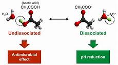Organic Acid