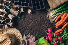 Organic Foods