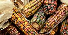 Organic Grain