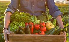 Organic Vegetables