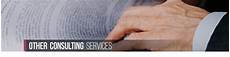 Other Consulting Services