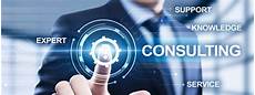 Other Consulting Services