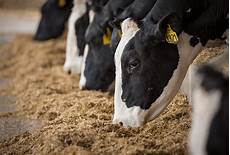 Other Dairy Products