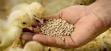 Other Feed Additives
