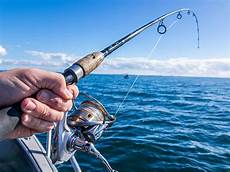 Other Fishing Supplies