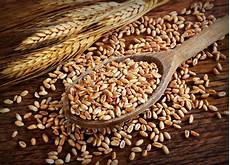 Other Grain