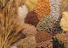 Other Grain