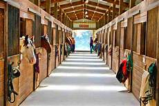 Other Horse Products