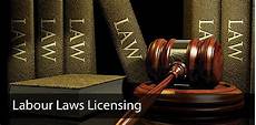 Other License Services