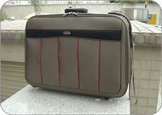 Other Luggage & Bags