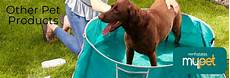Other Pet Products