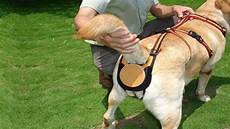 Other Pet Products