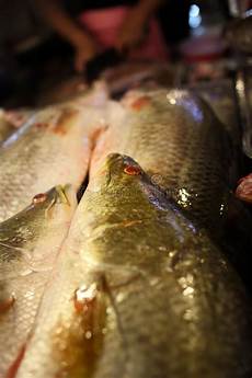 Other Seafood