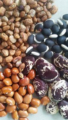 Other Seeds