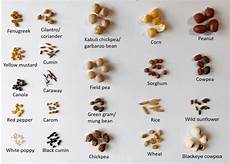 Other Seeds