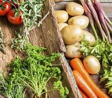 Other Vegetables