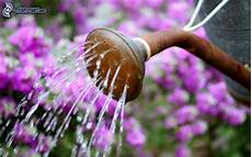 Other Watering & Irrigation