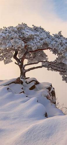 Other Winter Sports