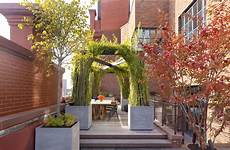 Outdoor Plants