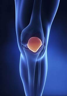 Patella