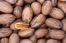 Pecan Nuts