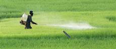 Pesticide