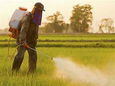 Pesticide