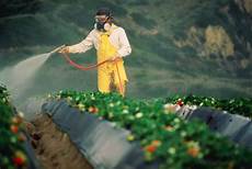 Pesticide