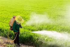 Pesticides