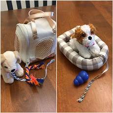Pet Accessories