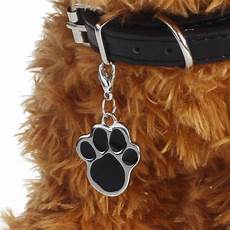 Pet Accessories