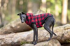 Pet Apparel
