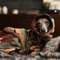 Pet Apparel