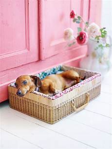 Pet Beds