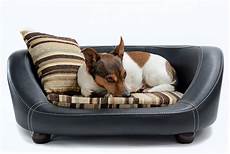 Pet Beds