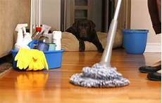 Pet Cleaning & Grooming Products