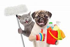 Pet Cleaning & Grooming Products