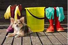 Pet Cleaning & Grooming Products