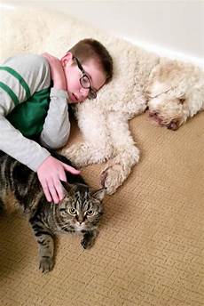 Pet Cleaning & Grooming Products