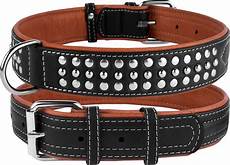Pet Collars & Leashes