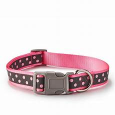 Pet Collars & Leashes