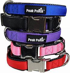 Pet Collars & Leashes