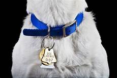 Pet Collars & Leashes