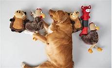 Pet Toys