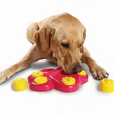 Pet Toys